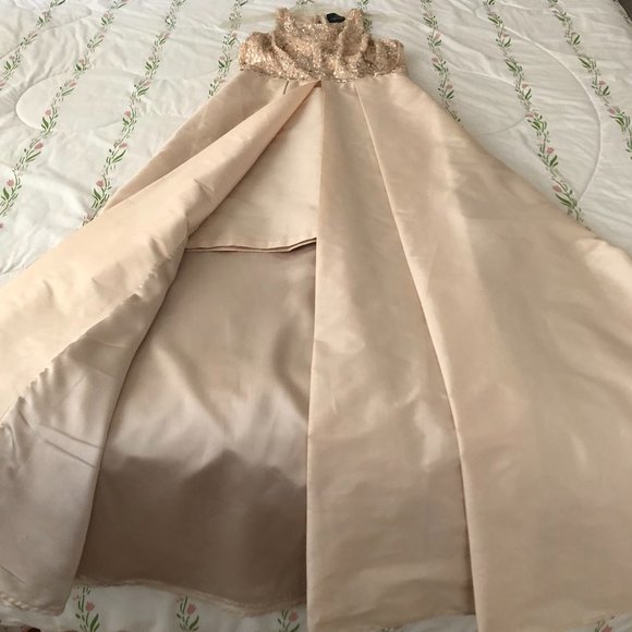 Adrianna Papell Wedding or Prom Dress - Picture 4 of 9